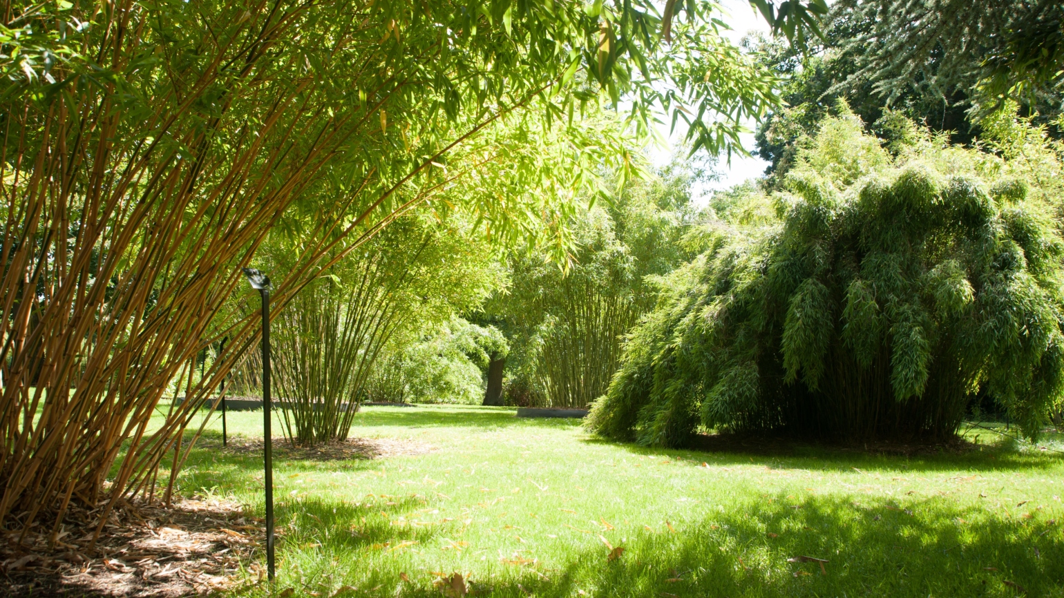 Kew's secret gardens Kew